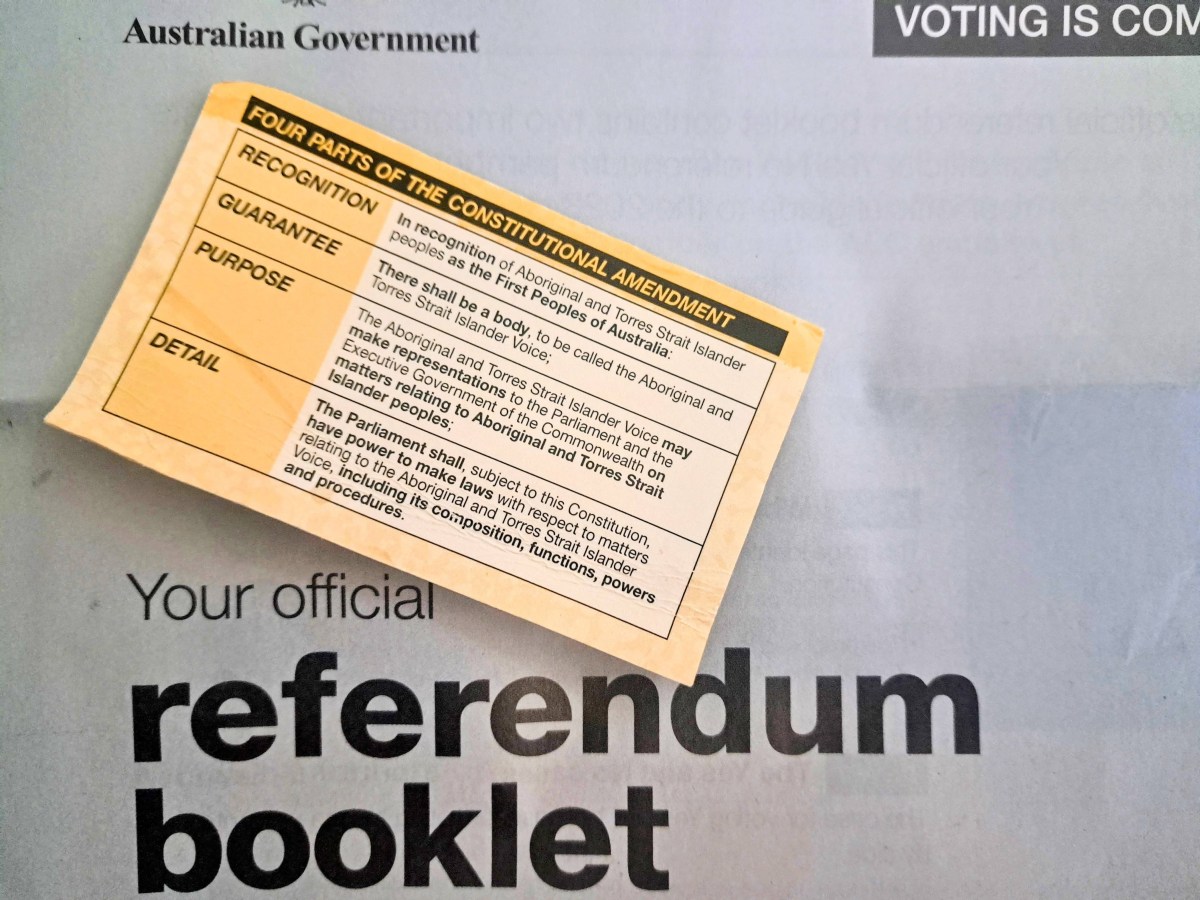 The Voice Defeated: A Socialist&nbsp;Perspective