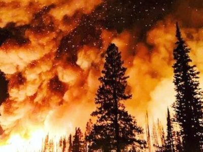 2023 hottest year ever – the capitalism system is&nbsp;guilty!